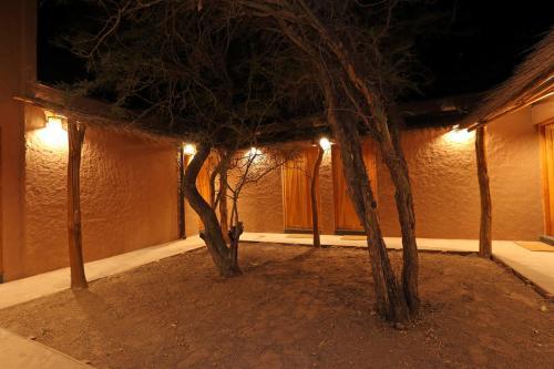 La Casa De Pascual Andino