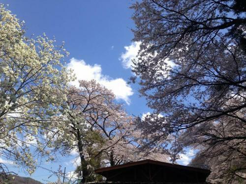 Hostal Ila Hakushu Guesthouse
