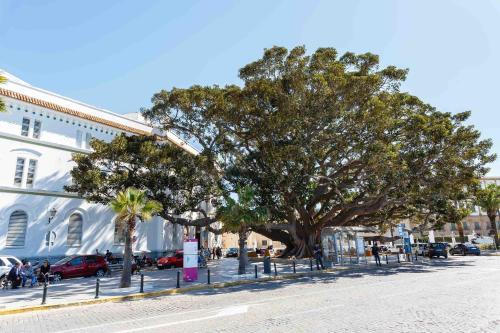 Apartamento El Bot�nico Gaditano