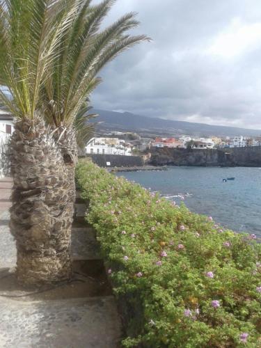 Apartamento Top Sun Near Sea Alcal�.