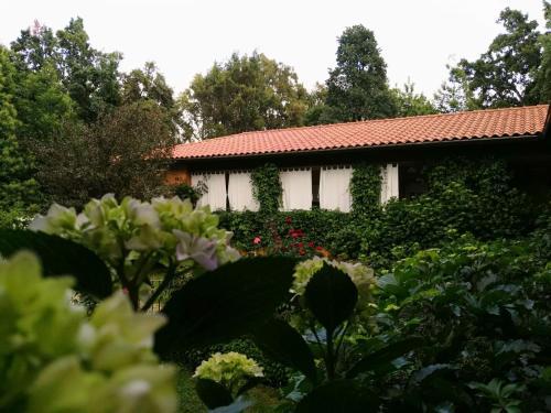 Apartamentos El Retiro De San Pedro