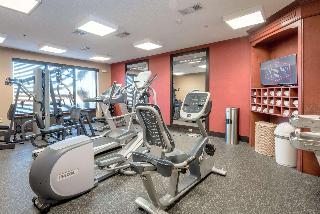 Hotel Hampton Inn Montgomery-south-airport