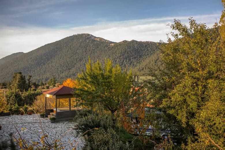 Boutique Hotel Skamnos