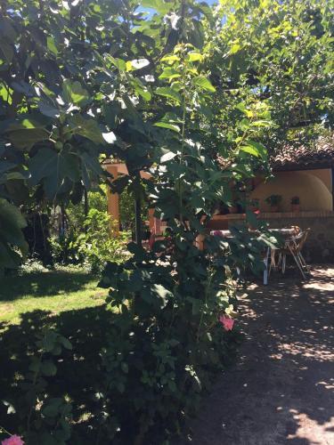 Agroturismo Casa Rural Las Olivas