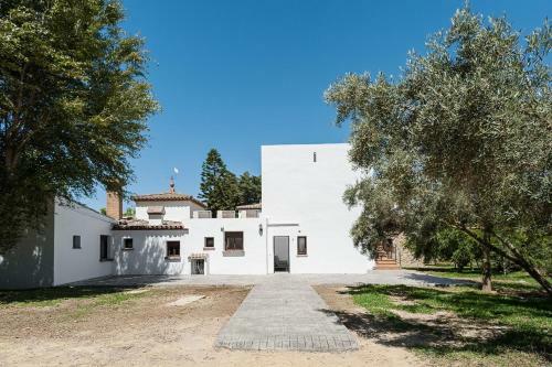 Apartamento La Jandeta 7