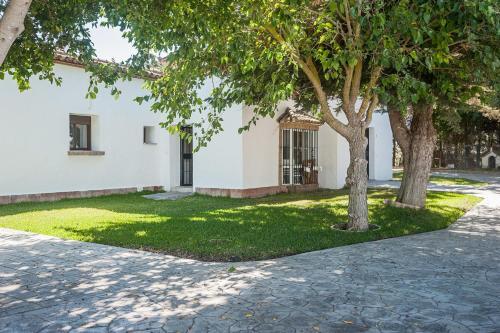 Apartamento La Jandeta 5