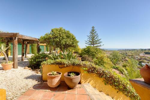 Hanami Finca Cumbres Borrascosas