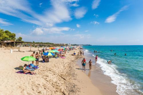 Pino Alto Holiday Homes Martin18