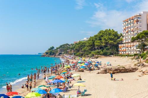 Pino Alto Holiday Homes Martin18