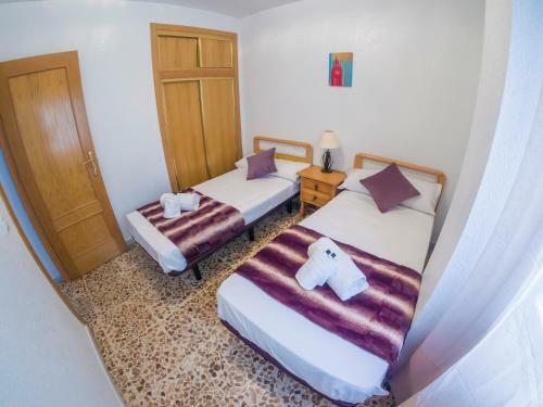 Homely Apartaments La Mata Centro
