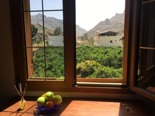 Villa Goyita Hostel