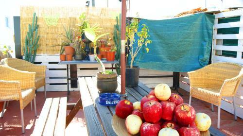 Hostal Matt Hostel Terrace