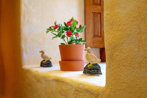 La Casa Del Valle II