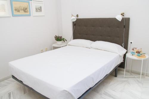 Lovely Apartment Carreteria