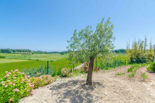 Villa Es Pont Den Teulari Nou