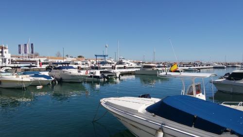 Apartamento Puerto Banus La Maestarnza