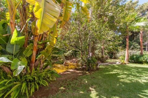 Apartamento En Jardines Del Mar