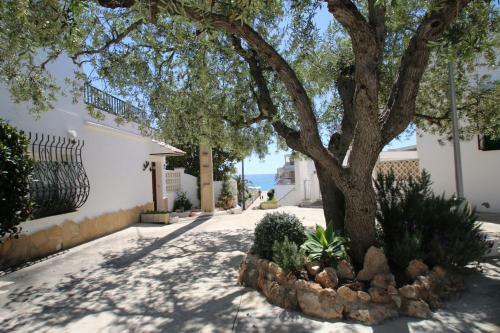 Apartamento Las Marinas B