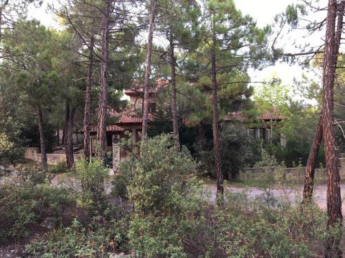Agroturismo La Flor De La Vida - Adults Only