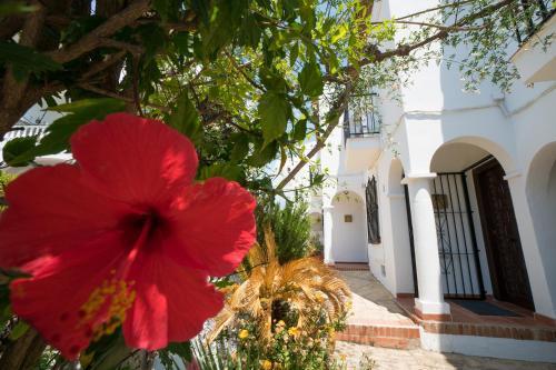 Apartamento Urb. La Hacienda, 16