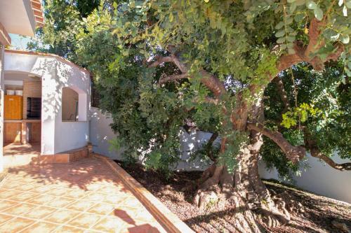 Villa Morning Glory