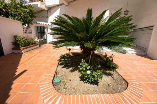 Apartamento Coronado 4 Menyber