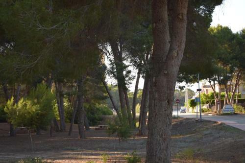 Casa Con Piscina Privada En Montemar de Dehesa de Campoamor Mm 024