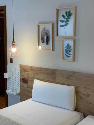Albergue Alojamientos Estela