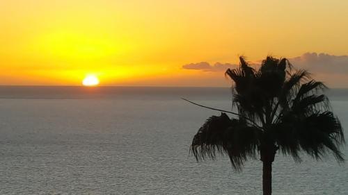Apartamento Residencial Ventura