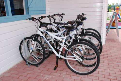 Camping Lo Monte