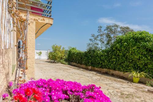 Apartamento Homeholidaysrentals Sils II