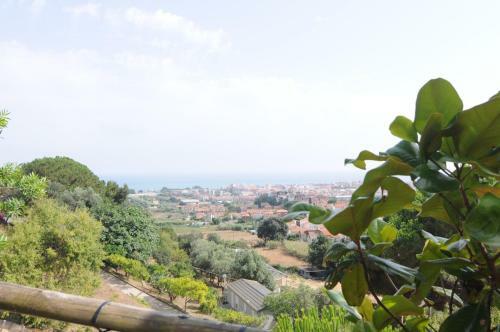 Homeholidaysrentals Le Vinya