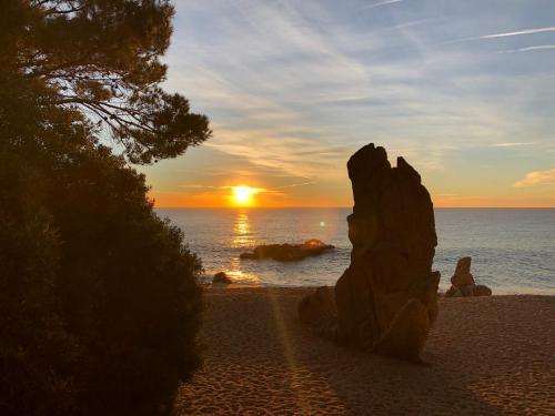 Apartamento Apto Belinda En La Playa de Platja D�aro