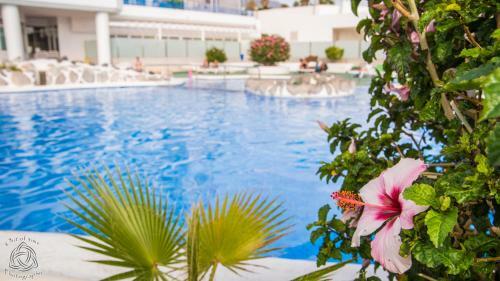 Cozy Apartment In Playa Paraiso Pp/21