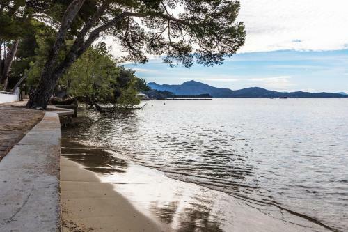 Townhouse Creus In Pollensa