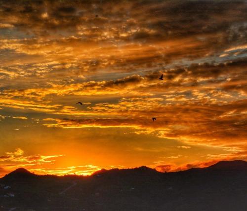 Agroturismo Biznaga