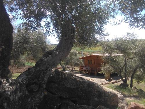 Agroturismo Biznaga