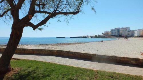 Apartamento Apto Antic 102 Pax 6