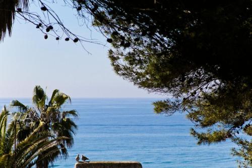 Mediterranea Planet Costa Dorada