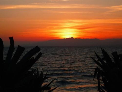 Apartment In Salou/costa Dorada 3957
