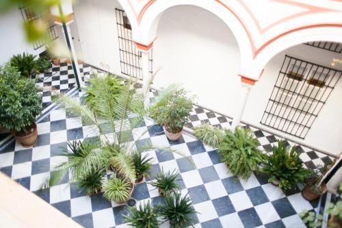 Apartamento Alohamundi Alfalfa