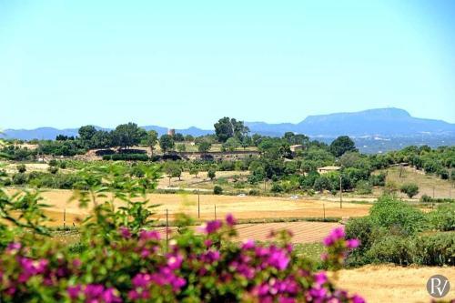 Son Macia Villa Sleeps 8 Pool Wifi
