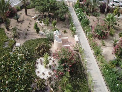Apartment Torrevieja 37 Spain