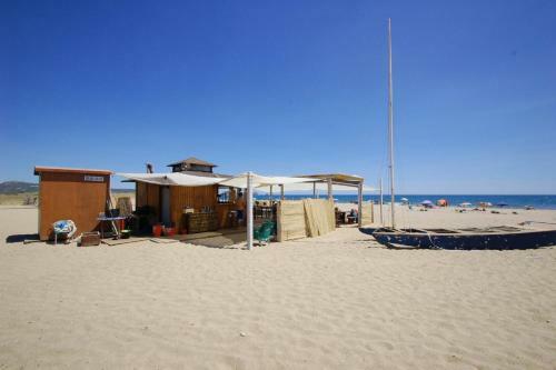 Dar� 2d 125 Mas Pinell