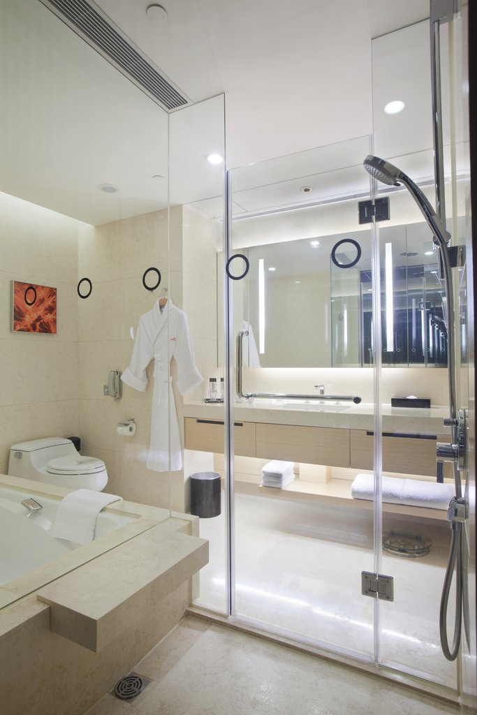 Hotel Crowne Plaza Hong Kong (Roh)