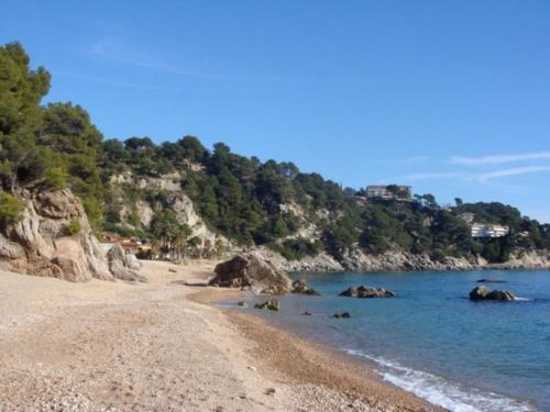 Danlux Gemma
