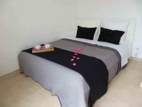 Danlux Moli 12