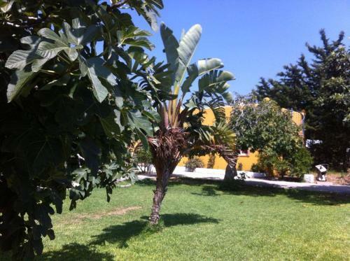 Agroturismo Casas El Camino