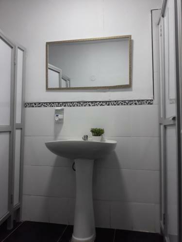 Bed & Breakfast Inka Hallpa