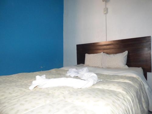 Albergue The Grasshopper Hostal Plaza De Armas